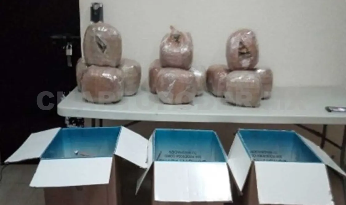 Aseguran 12 paquetes de marihuana en Tuxtla