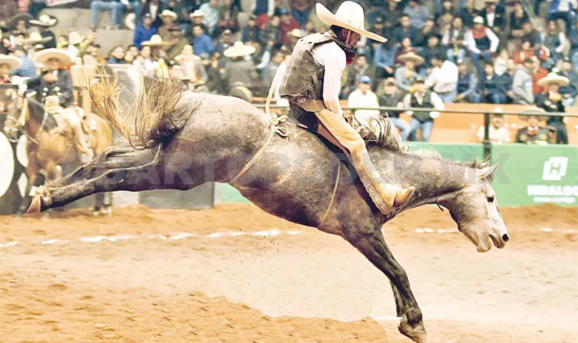 Rancho El Fénix prepara Pialadero y Coleadero