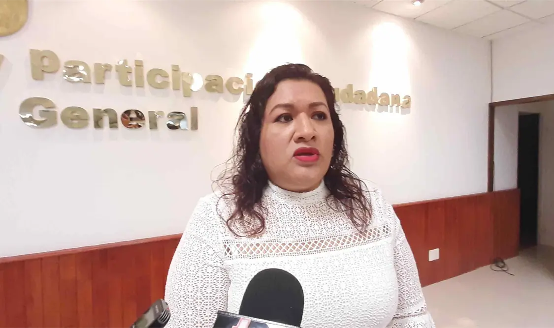 Vila Domínguez aclaró que la cantidad propuesta para las prerrogativas aún se va a discutir en el Congreso Local. Cortesía