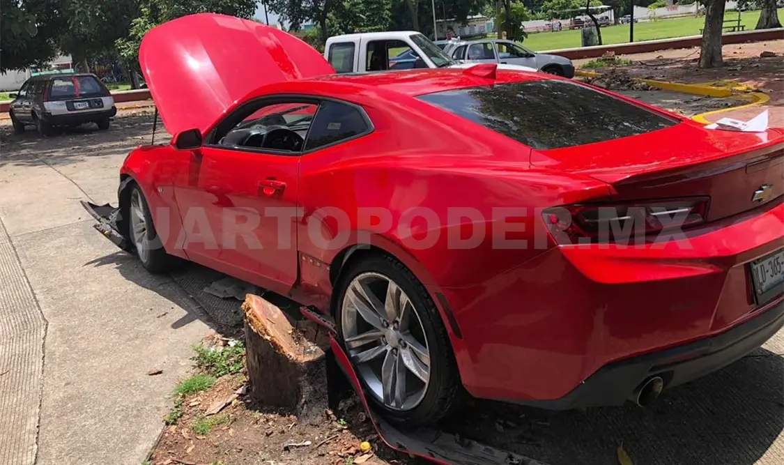 Camaro queda sobre el tronco de un árbol