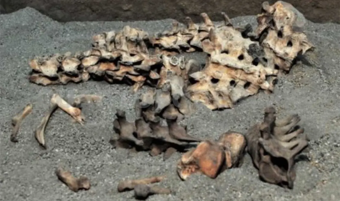 Exposición revela costumbres funerarias