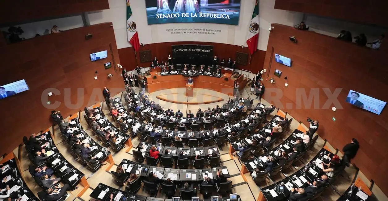 Senadores exhortan a sancionar a “El Bronco”