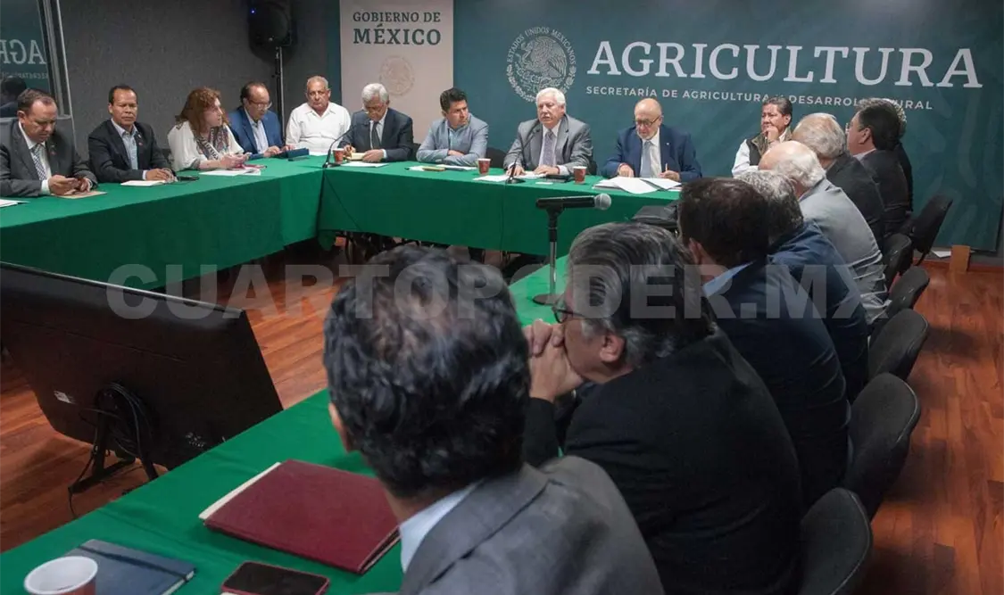 Siniestradas 347 mil hectáreas por sequía