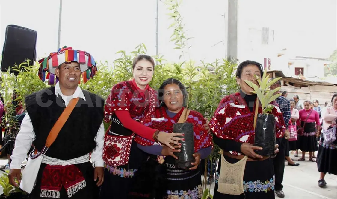 Avanza el crecimiento productivo de Chiapas