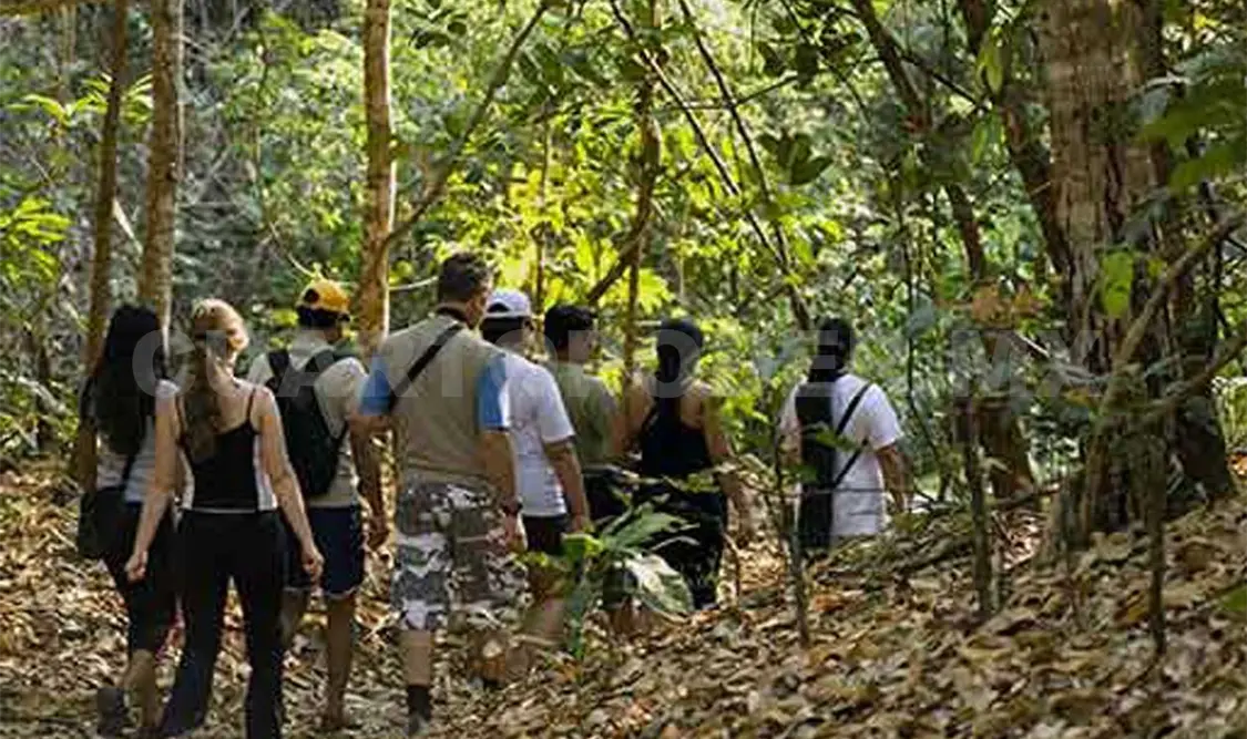 En Chiapas varios ambientalistas han sido víctimas de amenazas, hostigamientos y algunos han sido asesinados al realizar su labor social. Cortesía