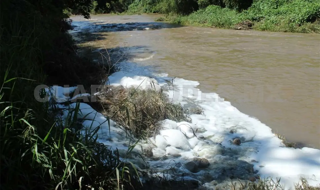 Desde hace unos años se ha denunciado la muerte de peces en el río a causa de la contaminación. Cortesía