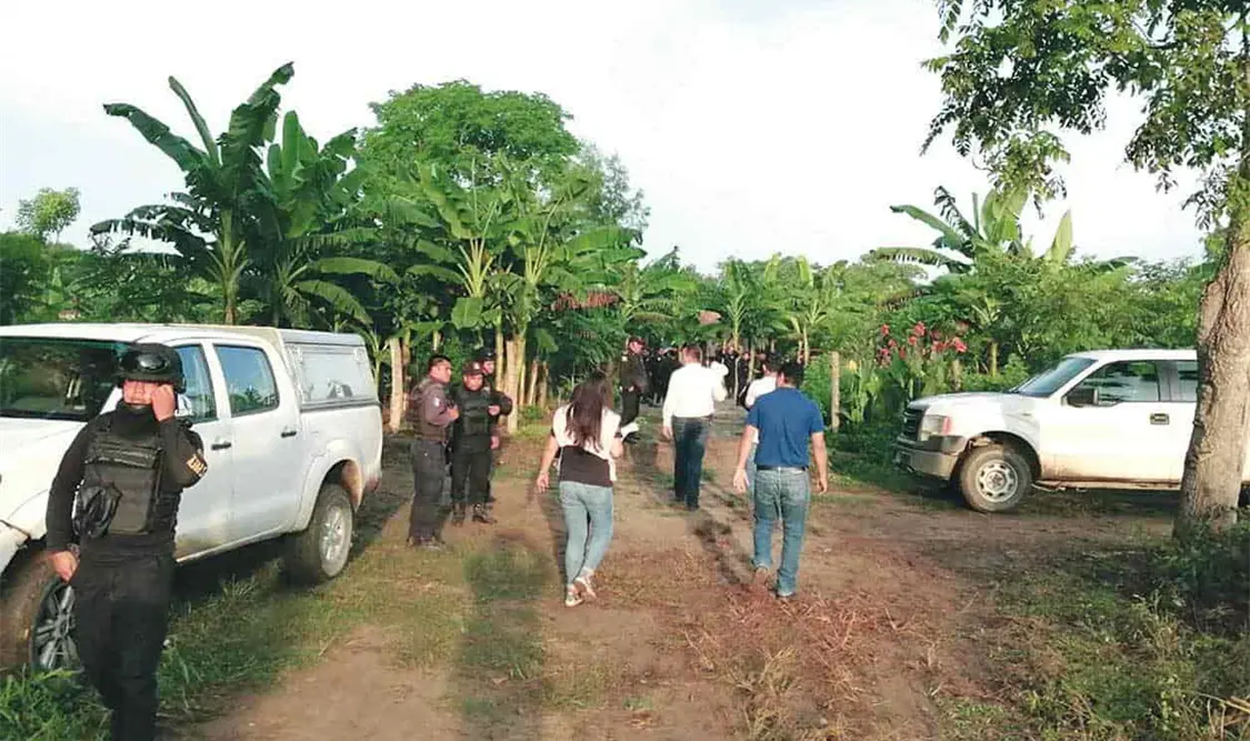 Recupera FGE otras 408 hectáreas invadidas