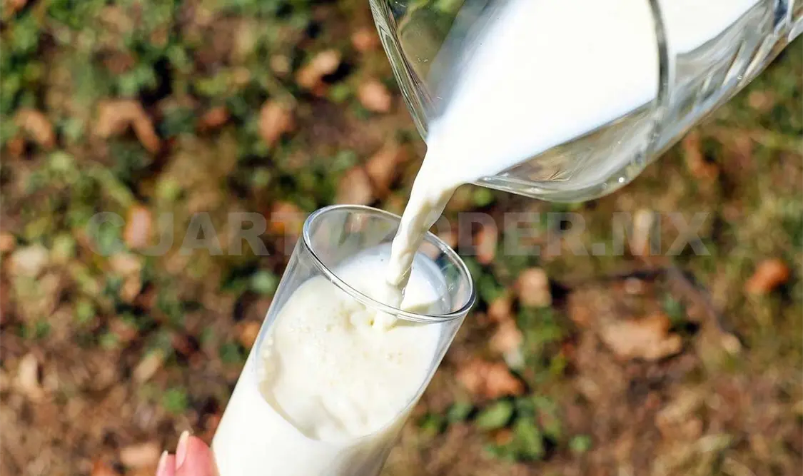 La leche es uno de los alimentos más completos que existen. Agencias