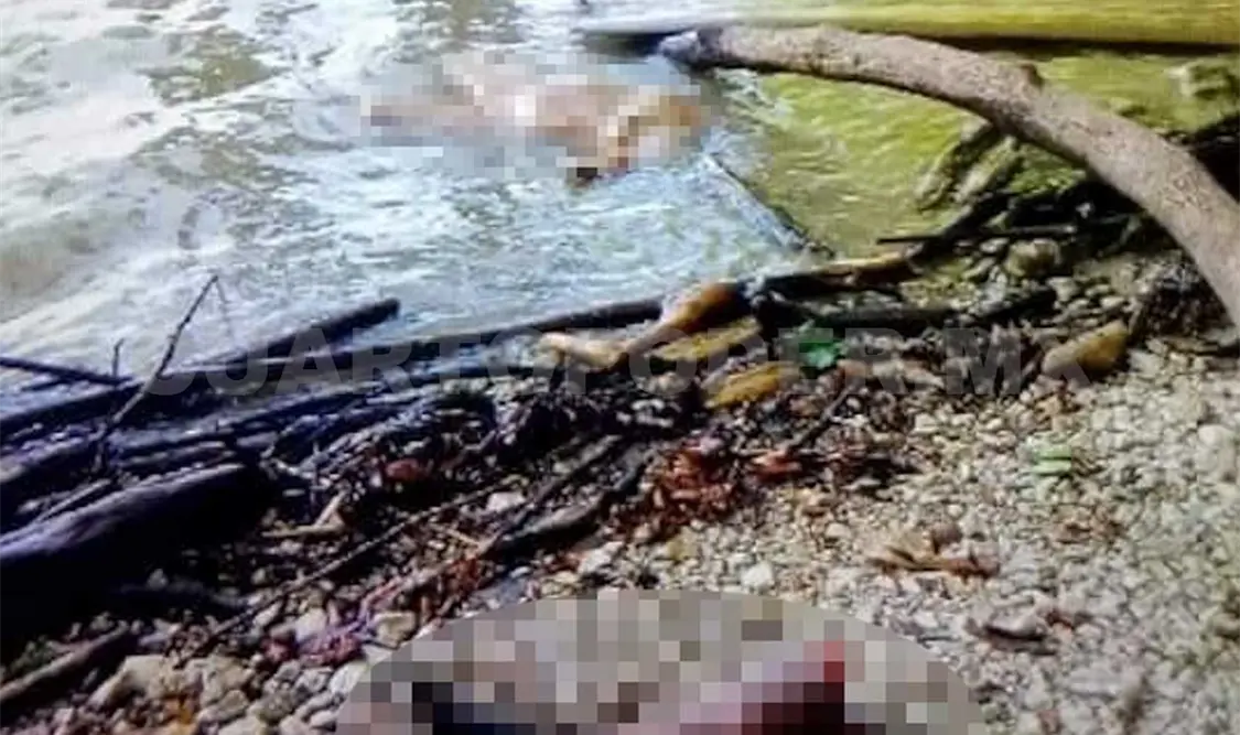 Asesinan y mutilan los cuerpos de una pareja
