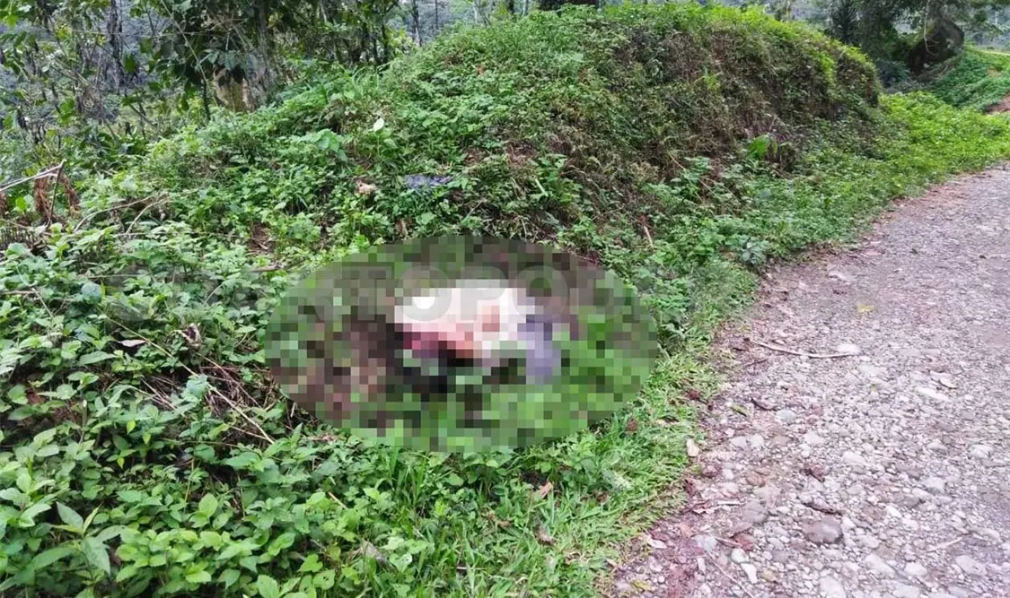 Asesinan a machetazos a jornalero chapín