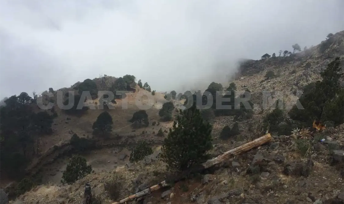 En el volcán Tacaná reforestarán 50 hectáreas