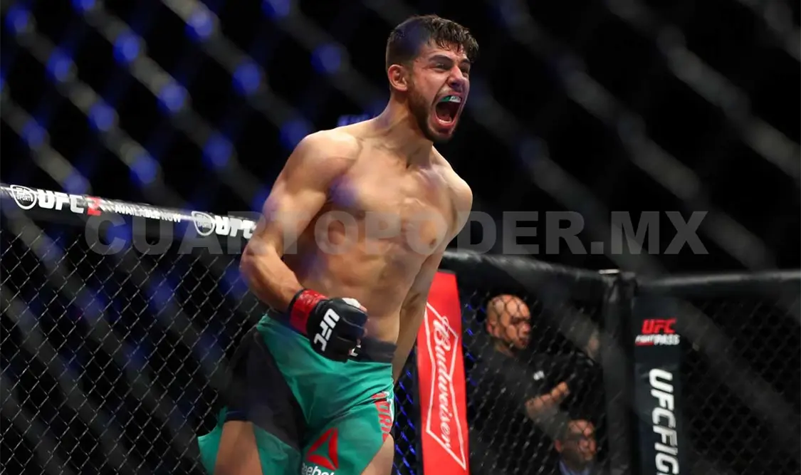 Voy a humillar a Yair Rodríguez: Stephens