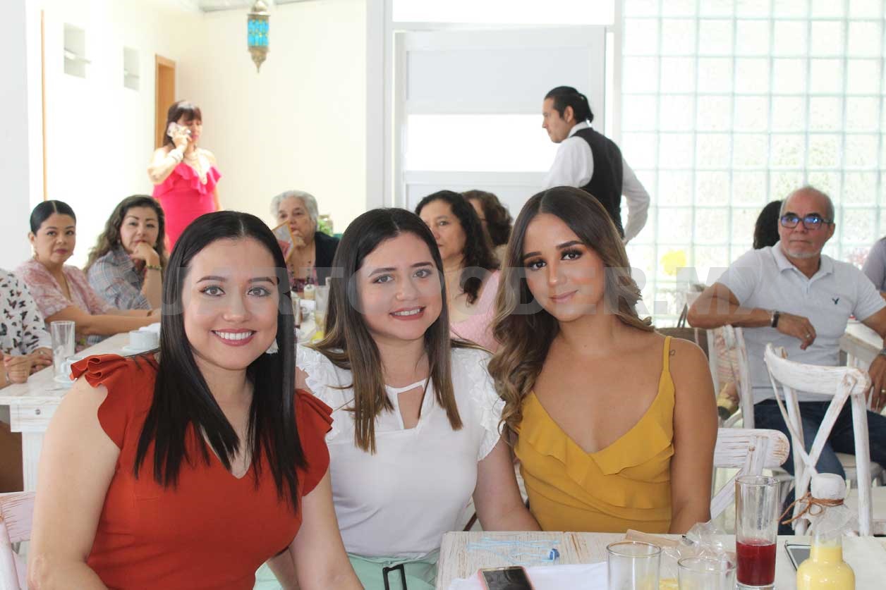 En espera de su primer bebé