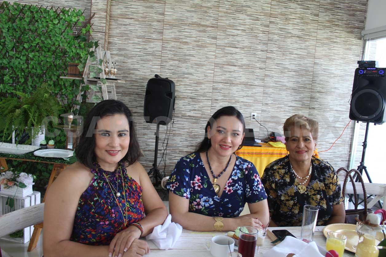 En espera de su primer bebé
