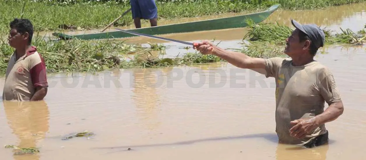 Lorena dañó mil 600 hectáreas agrícolas