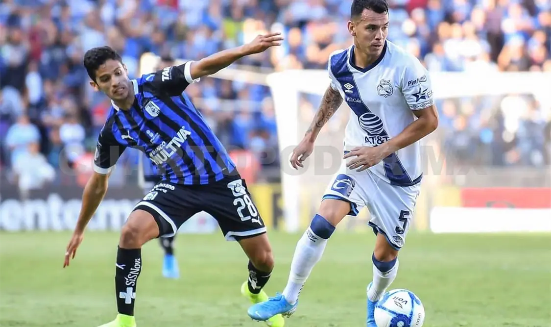 Puebla, a la caza de otro felino peligroso