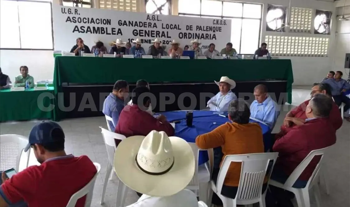 Se pronuncian contra importación de ganado