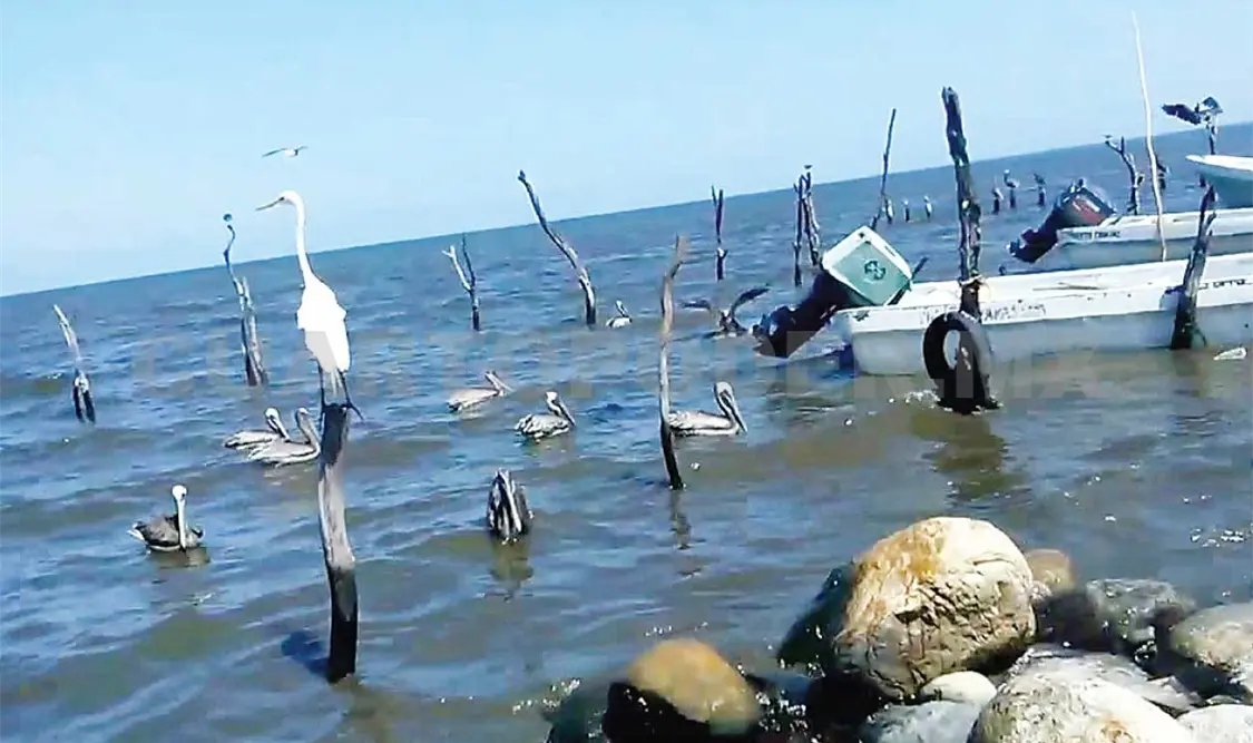 En toda la zona Costa existen al menos unos quince mil pescadores. Noel Vázquez / CP