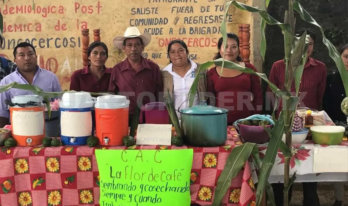 Impulsan rescate de maíces criollos en la Sierra