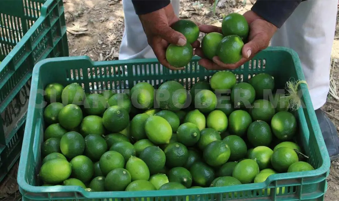 Se impulsan productos agropecuarios