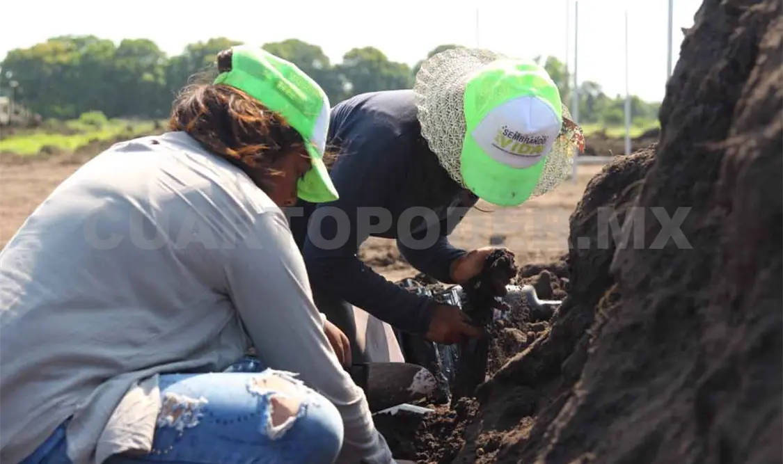 Se requieren más programas de apoyo para el campo
