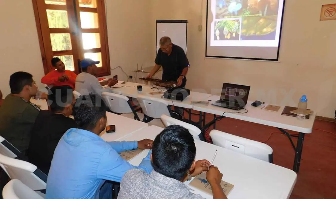 Organizan curso “Métodos de Colecta de hongos”