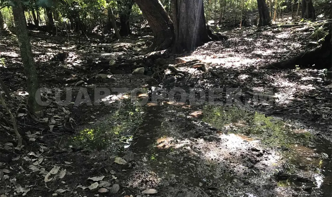 Se secan afluentes de la Reserva “El Zapotal”