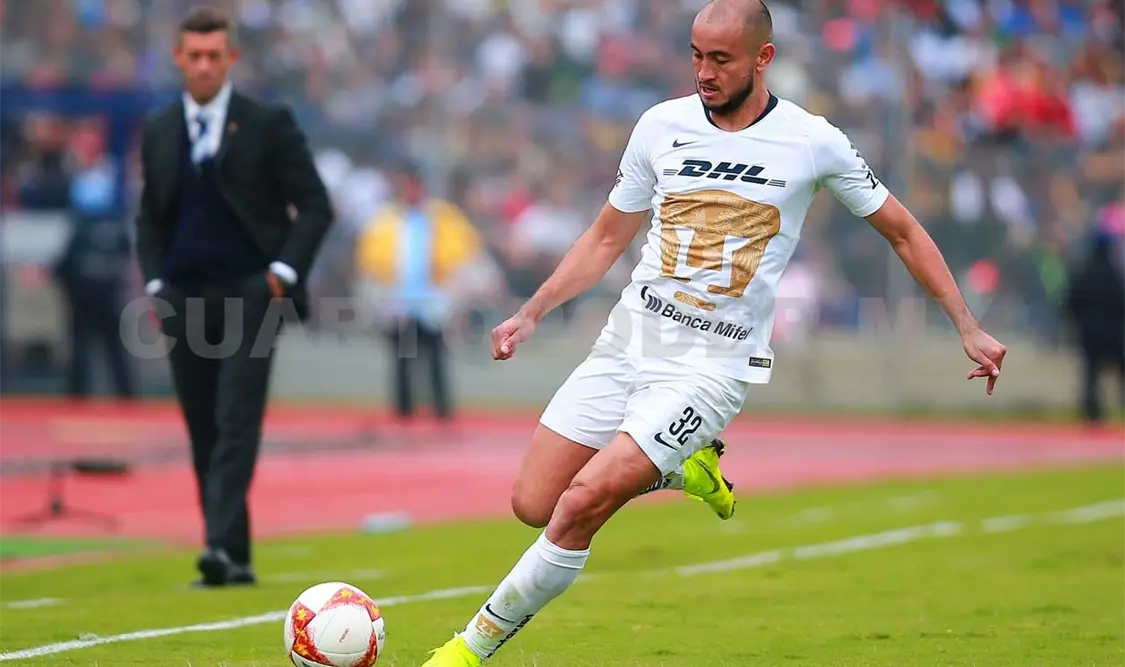 Duelo de felinos en Ciudad Universitaria