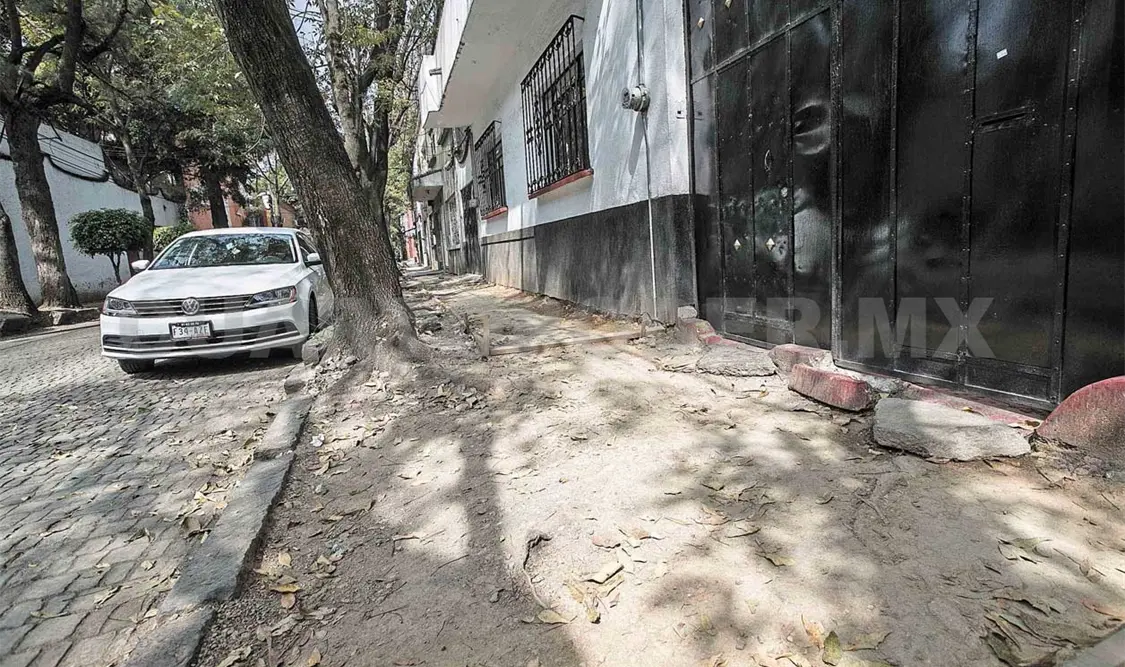 Patrimonio de Coyoacán, en riesgo por mal uso