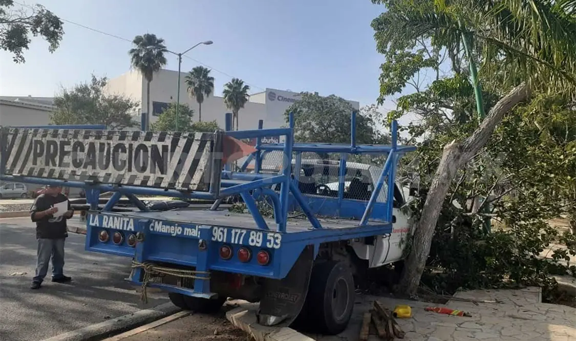 Camión tres toneladas se estrella contra árbol