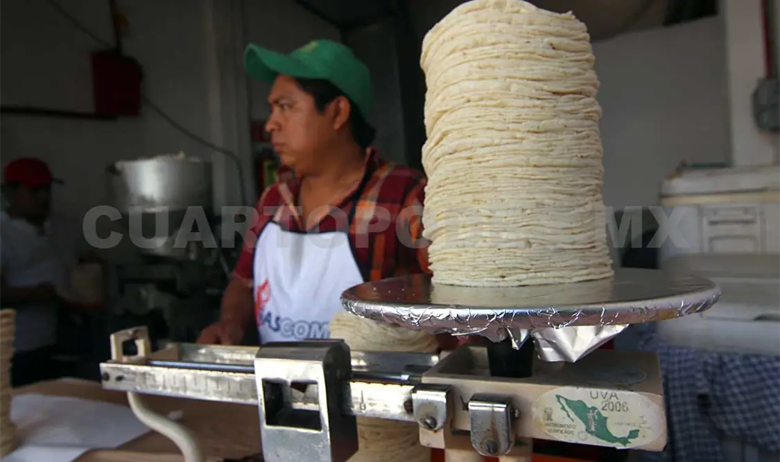 Ilegalidad sepultó a la industria tortillera