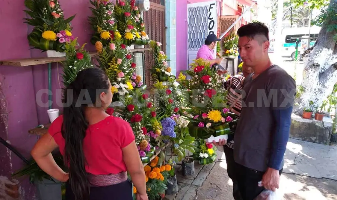 Prevén escasez de flores de temporada