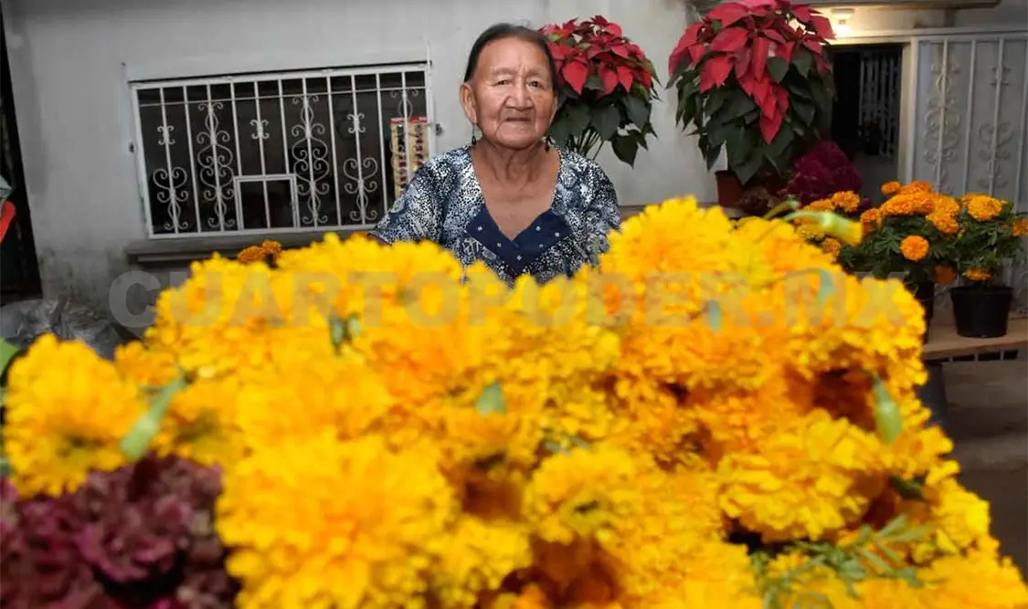 Cempasúchil, tradicional flor del Día de Muertos