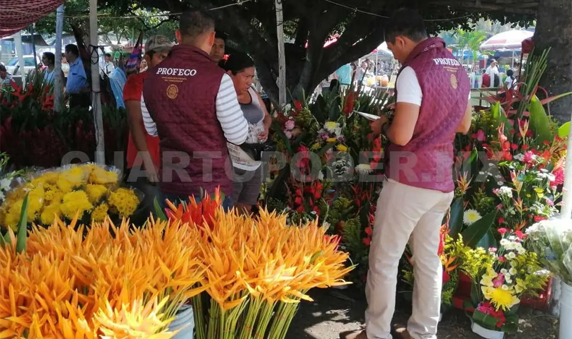 Se aplicaron visitas de verificación en atención a denuncias recibidas. Ricardo López / CP