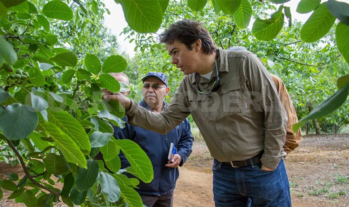 Impulsan 37 proyectos sustentables en Chiapas