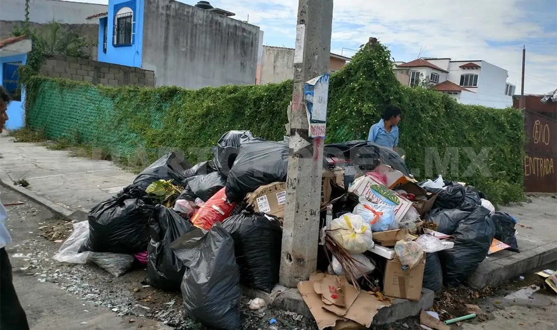 Redoblan esfuerzos para combatir enfermedades