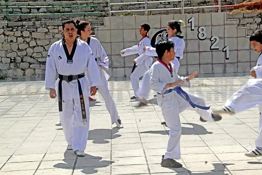Bajo el mando del profesor Mayorga, el grupo de taekwondoines mostró mucho entusiasmo de su disciplina. Cortesía