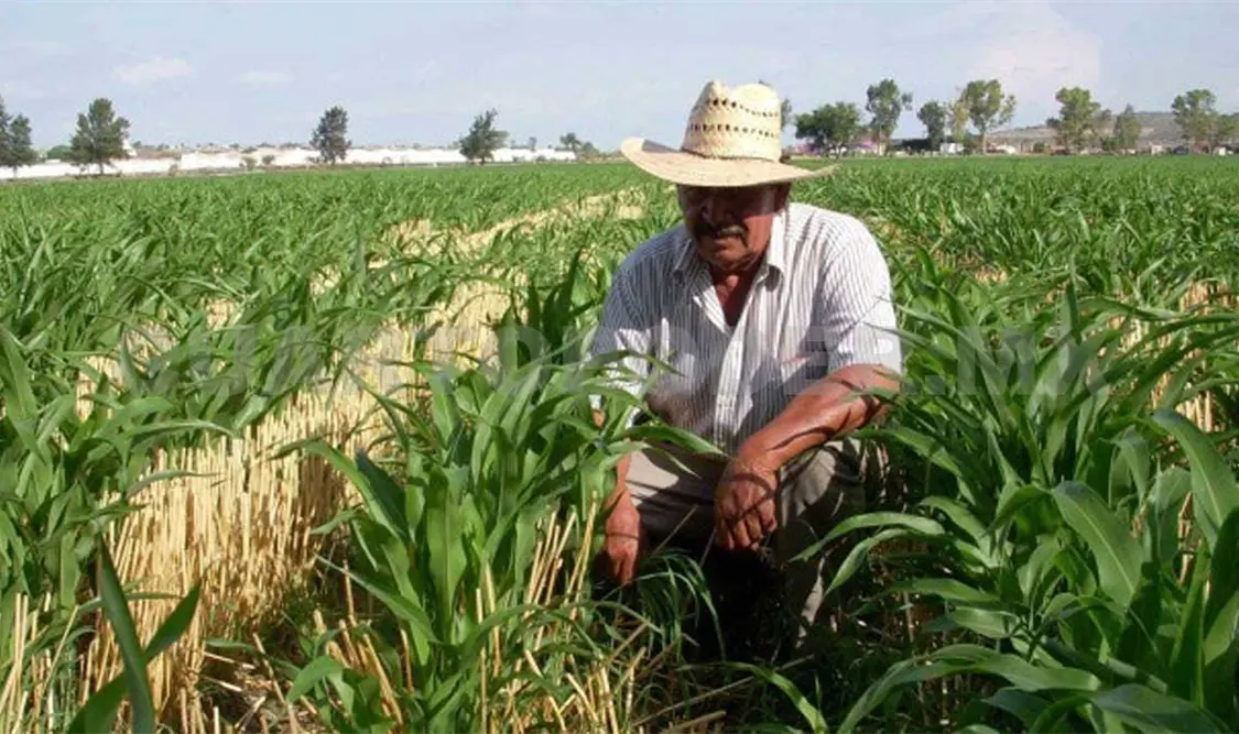‘Rasuran’ gasto para el campo