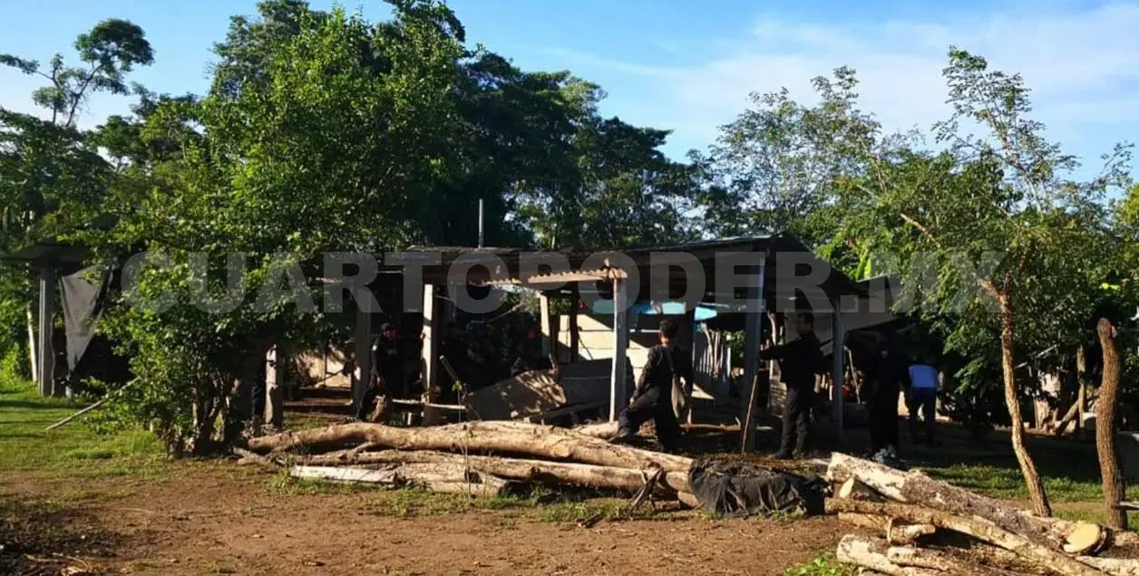 Recuperan 416 hectáreas invadidas en Chiapas