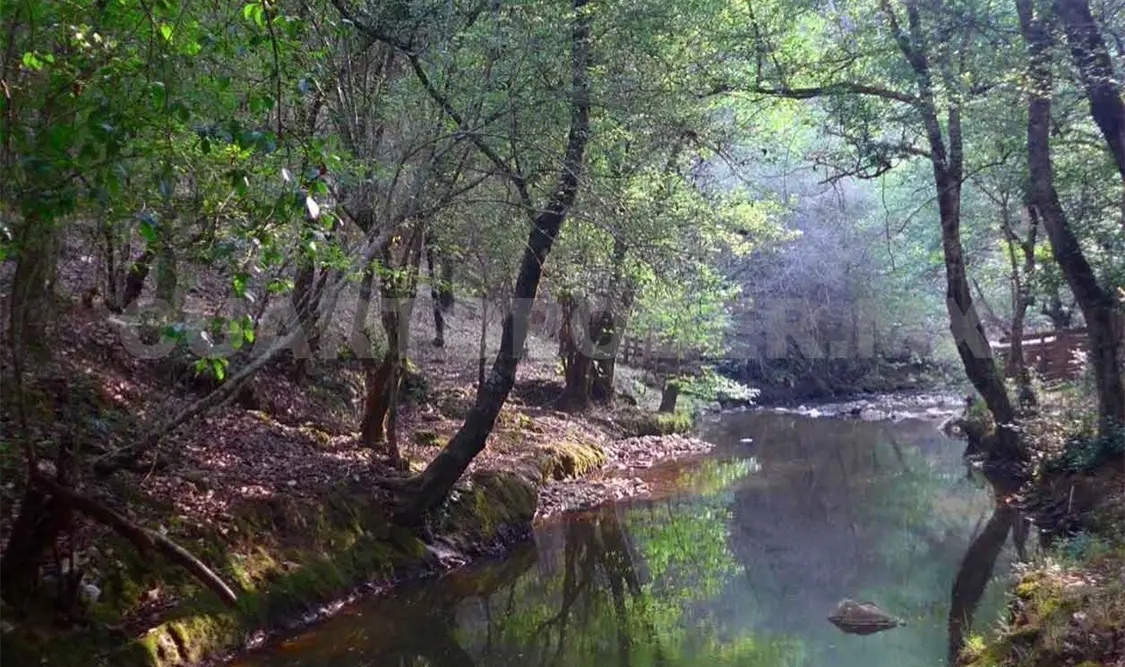 Acuerdan proteger reserva “El Encuentro”