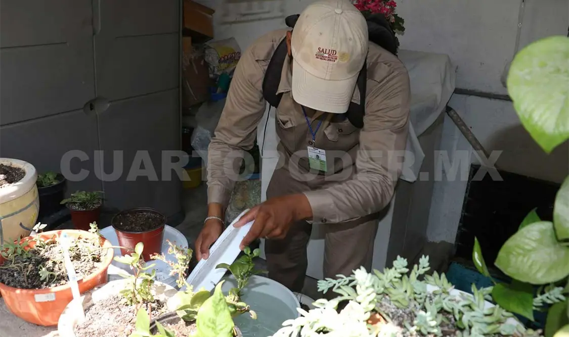 Suman 16 mil casos probables de dengue