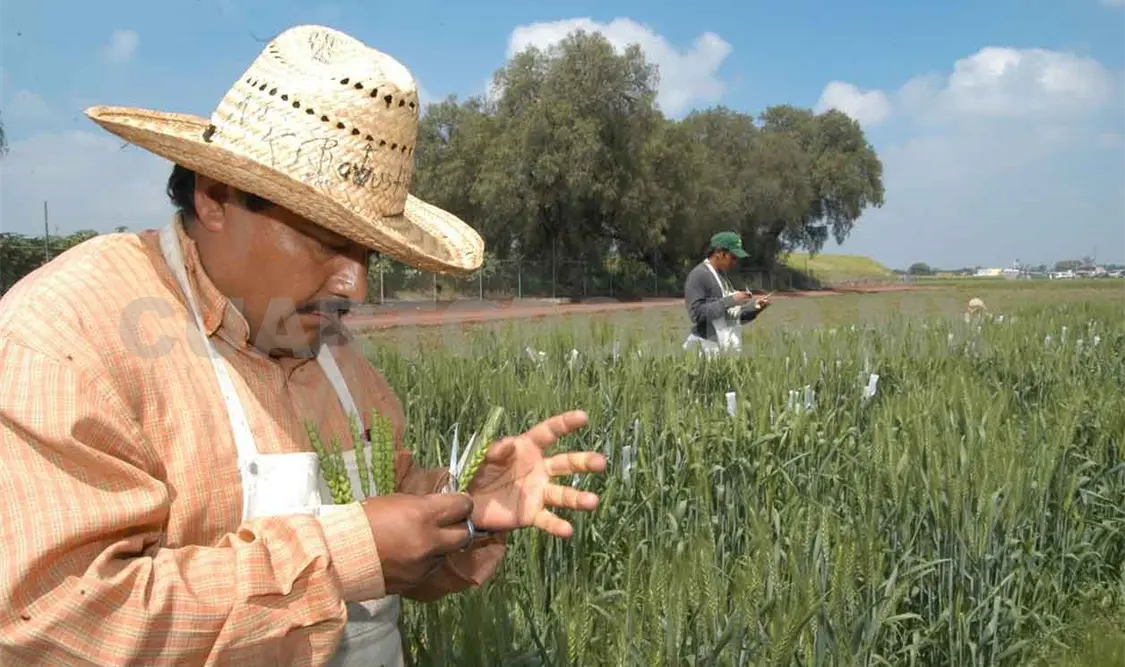 Recibirán comisariados paquetes de fertilizantes