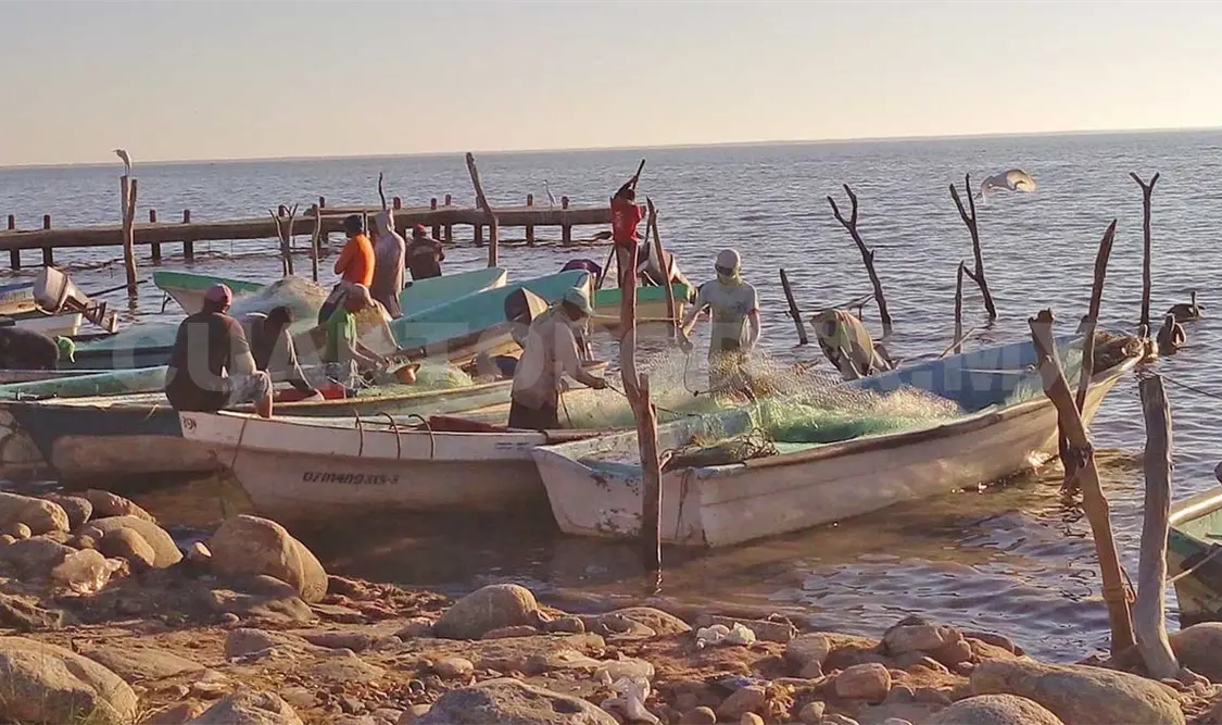 Pescadores arrojan desechos de pescados a la orilla de la playa. Noel Vázquez / CP