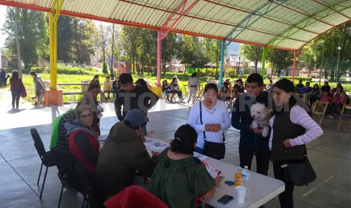 Campaña realiza 500 cirugías a perros y gatos