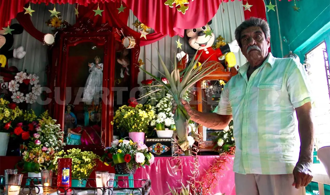Don Tomás Nigenda sostiene la flor de Niluyarilu, que en lengua chiapaneca significa Flor de Niño. Diego Pérez / CP