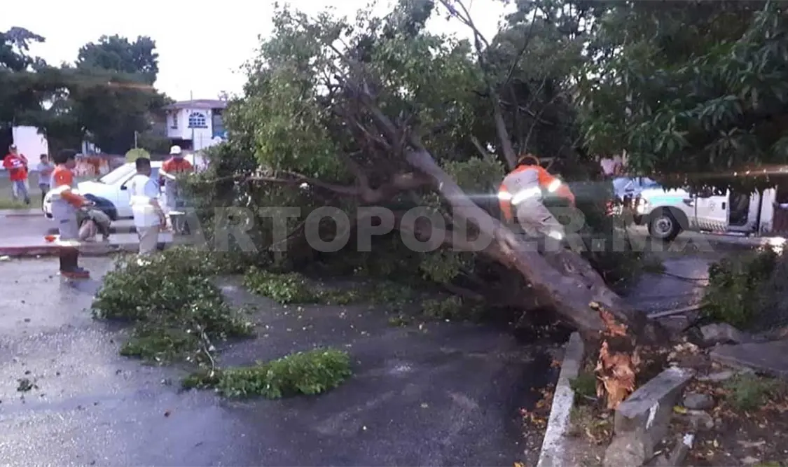 Temporada de lluvias sólo dejó daños materiales