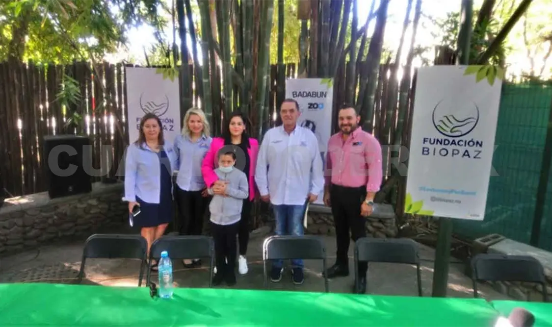 Niño recibirá donación de médula ósea