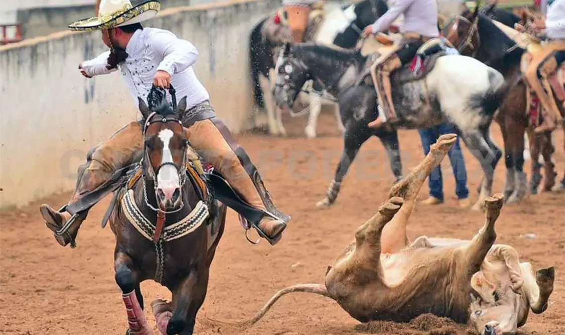 Habrá Torneo Guadalupano en Rancho El Fénix