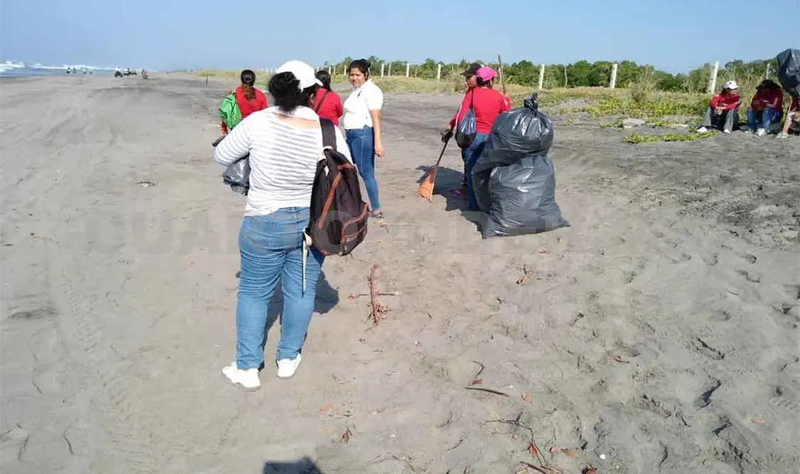Ponen en marcha campaña de limpieza en playas