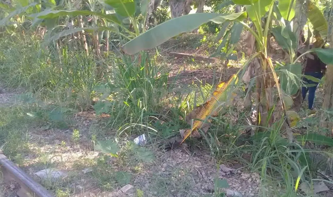 Encuentran a hombre sin vida junto a las vías del tren